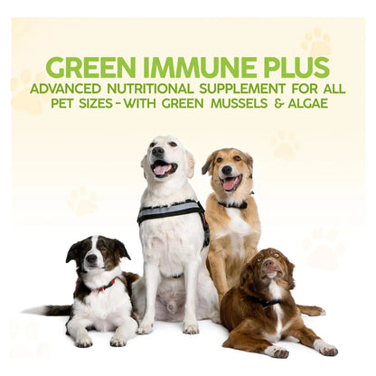 Multivitamínico Orgánico Para Perros King Kanine Green Inmune Plus 170g