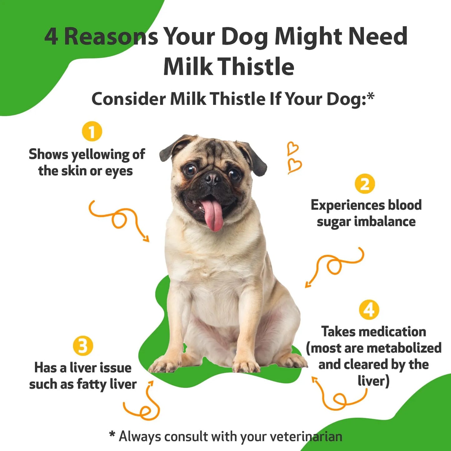 Cardo Mariano Para Perros Orgánico Apoyo Hepático Y Desintoxicación Natural