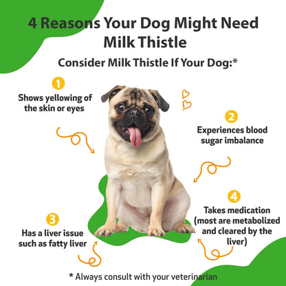 Cardo Mariano Para Perros Orgánico Apoyo Hepático Y Desintoxicación Natural