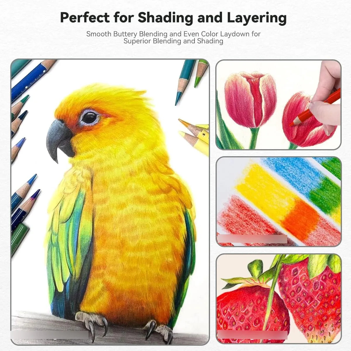 Juego De 72 Lápices De Colores Arrtx Núcleo Suave Profesionales Para Arte Y Dibujo