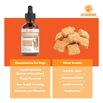 Glucosamina Para Perros Suplemento Articular Líquido Importado EE.UU