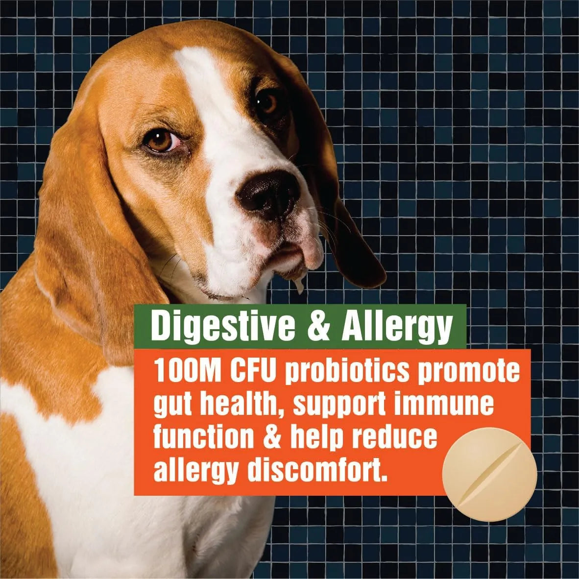 Probióticos Para Perros Alivia Picazón Piel Digestión E Inmunidad