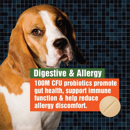 Probióticos Para Perros Alivia Picazón Piel Digestión E Inmunidad