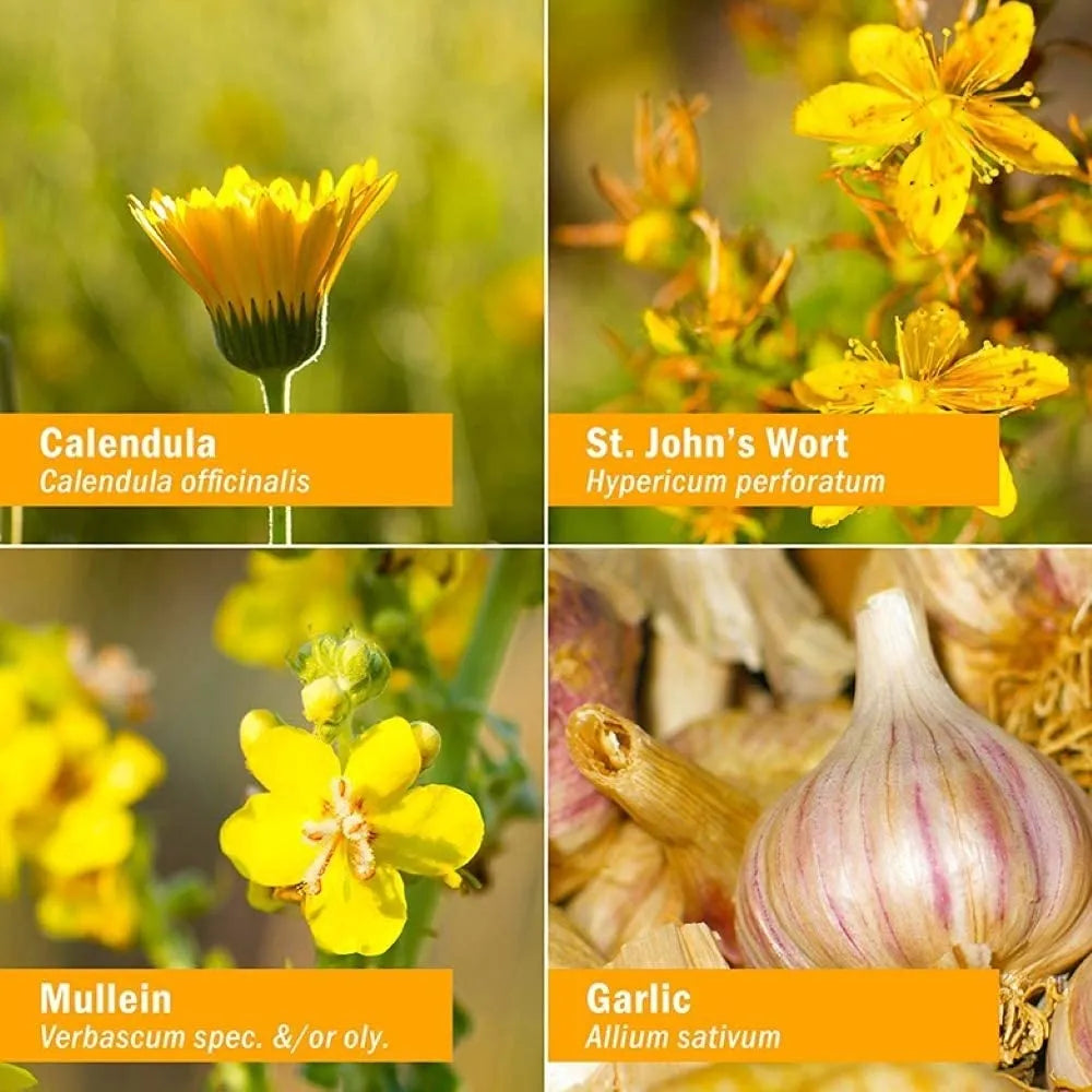 Aceite Natural De Gordolobo Ajo Caléndula Hierba De San Juan Para Niños 1 Onza Líquida