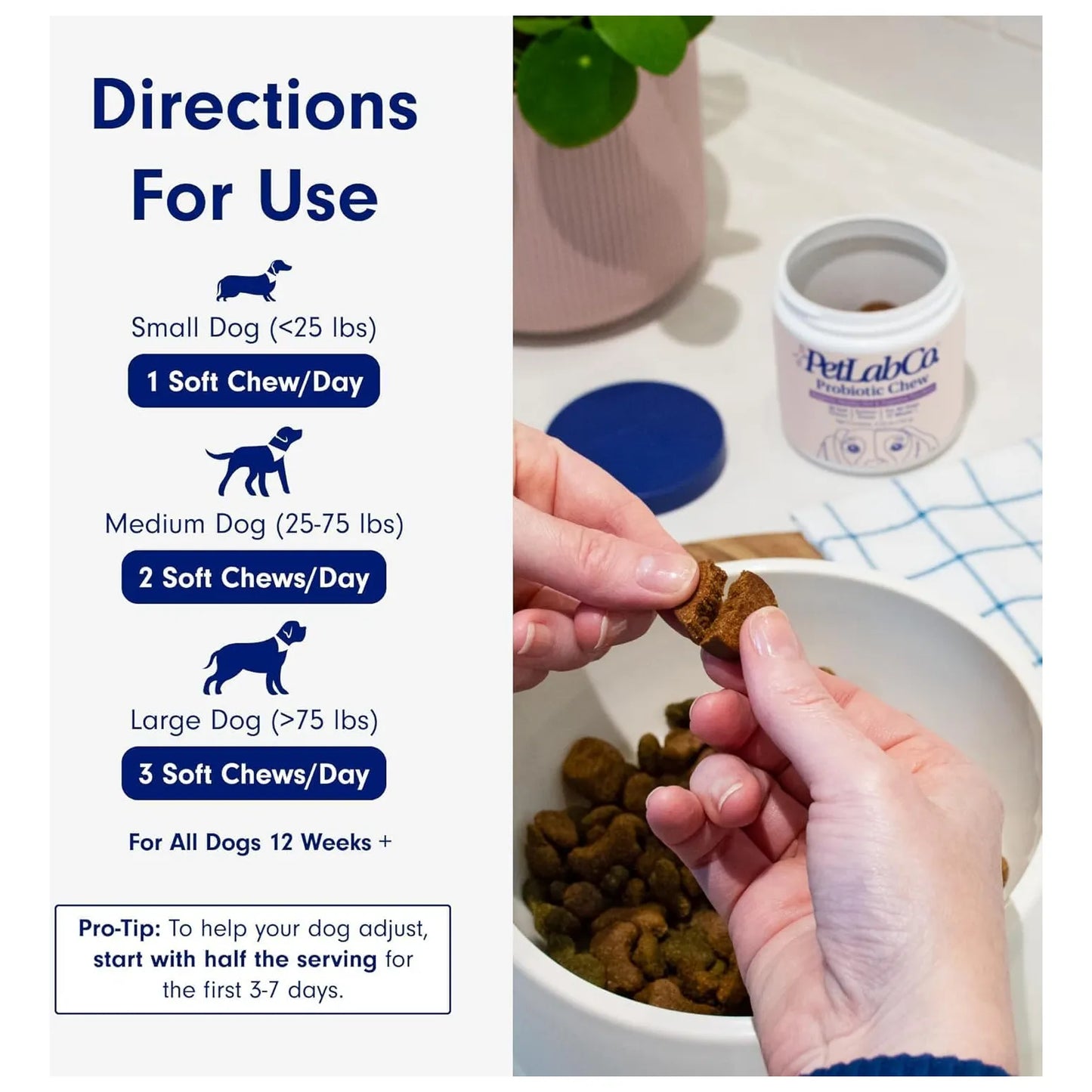 Probióticos Para Perros PetLab Co 30 Masticables Sabor Cerdo Salud Digestiva E Inmunológica