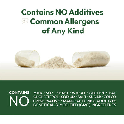 Cápsulas De Polvo De Cáscara De Psyllium 1000 Mg Para Digestión Saludable Y Regularidad