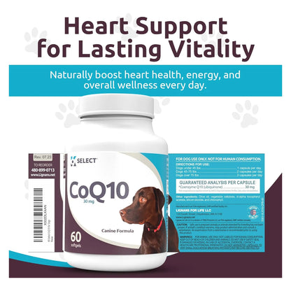 Suplemento CoQ10 Para Perros 30 Mg 60 Capsulas Salud Corazon Y Energia