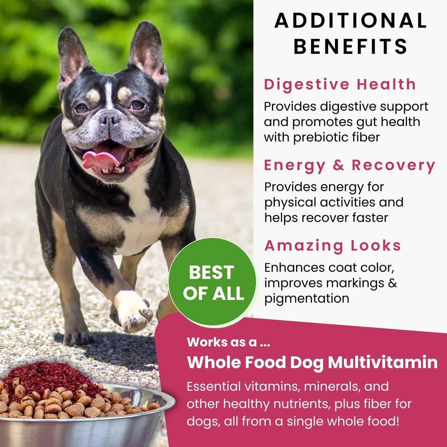Remolacha Roja Olewo Para Perros Suplemento Natural Piel Y Pelaje 5.5 Libras