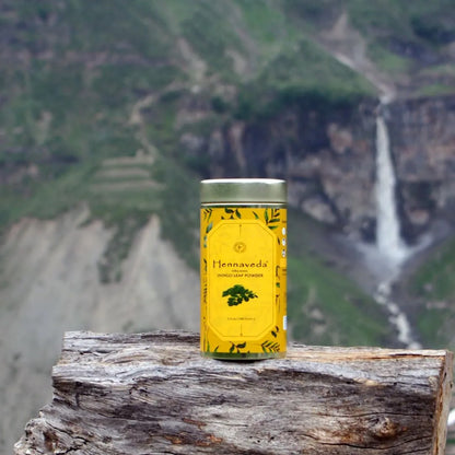 Polvo Índigo Para Cabello Cubre Canas Naturalmente Con Cepillo Y Guantes