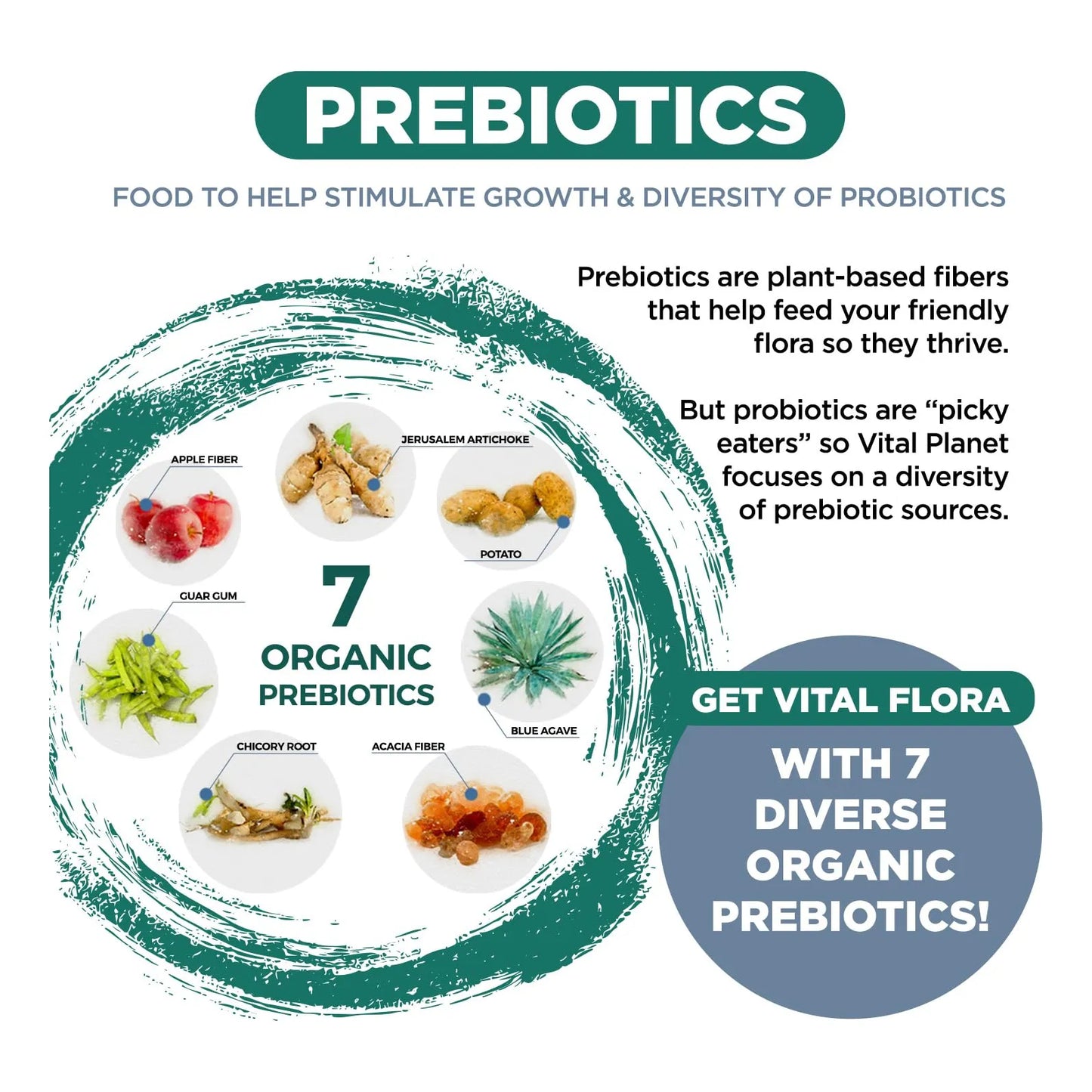 Probiótico Vital Flora Hombre 60 Mil Millones UFC 60 Cepas Salud Digestiva E Inmunológica