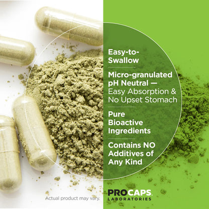 Extractos Cruciferos 60 Capsulas Altos Glucosinolatos Sulforafano Andrew Lessman