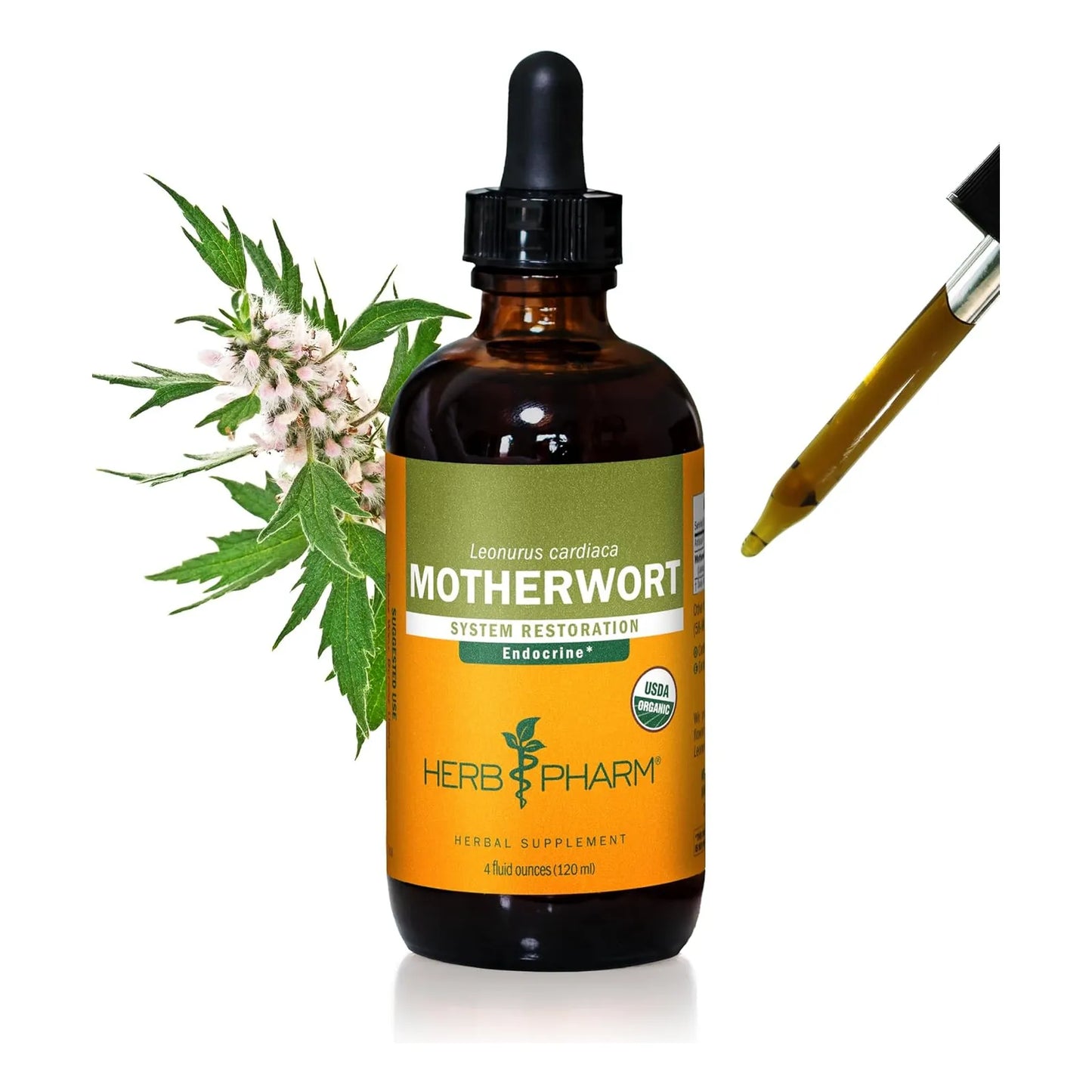 Extracto Líquido Orgánico De Motherwort 120ml Herb Pharm Apoyo Sistema Endocrino
