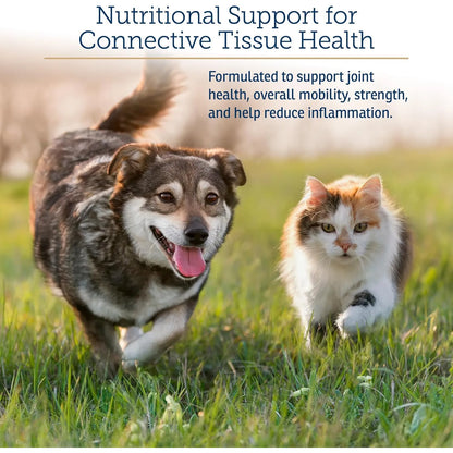 NutriFlex Suplemento Articulaciones Perros Gatos Glucosamina Colágeno Condroitina