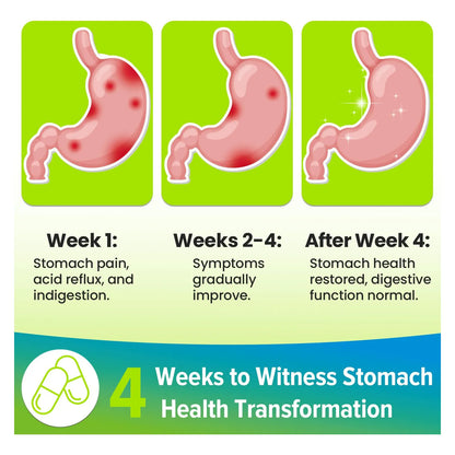 Tratamiento H Pylori Probióticos 100 Mil Millones UFC Lactobacillus Reuteri Salud Digestiva