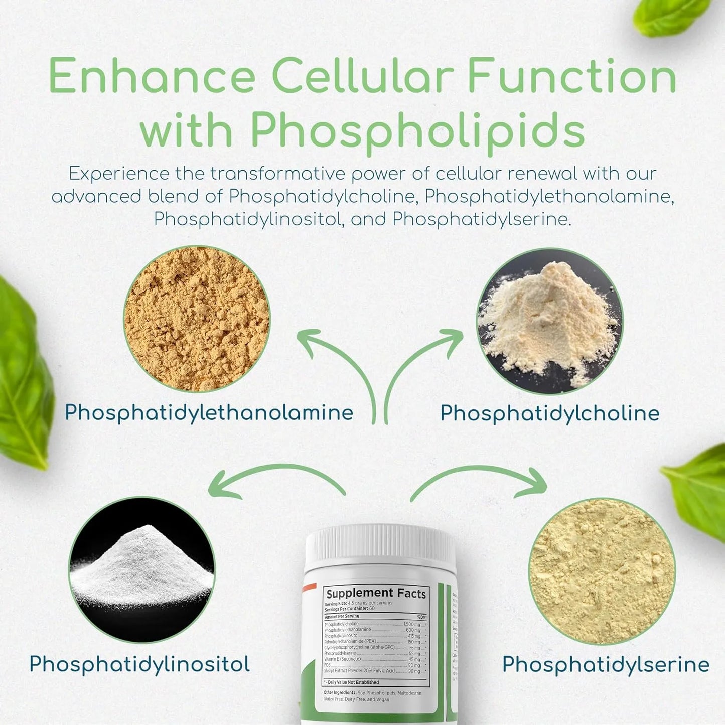 Polvo Antioxidante Reparacion Celular Memoria Concentracion Fosfolipidos Sinergia