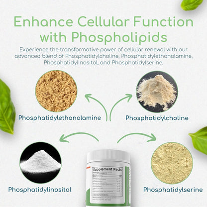 Polvo Antioxidante Reparacion Celular Memoria Concentracion Fosfolipidos Sinergia