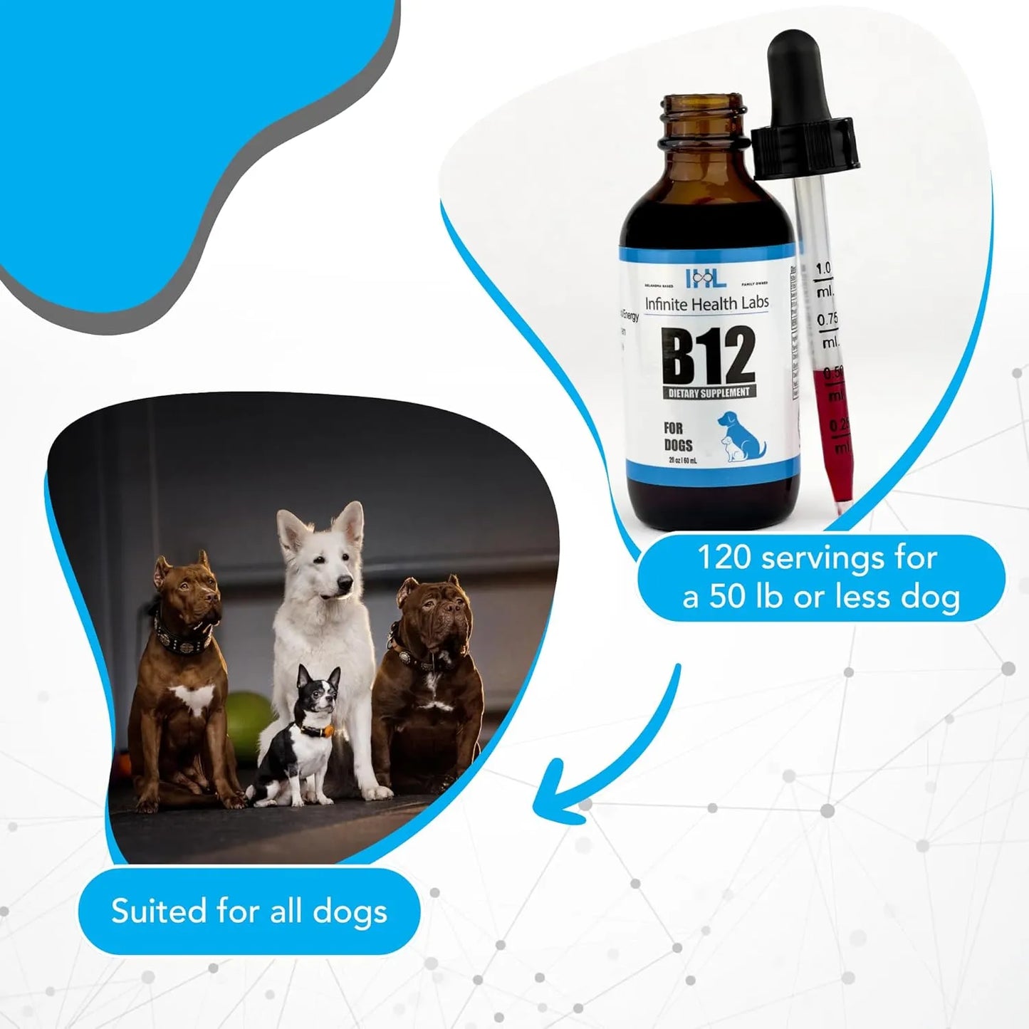 Vitamina Líquida B12 Metilcobalamina Para Perros Medianos y Grandes Energía y Vitalidad