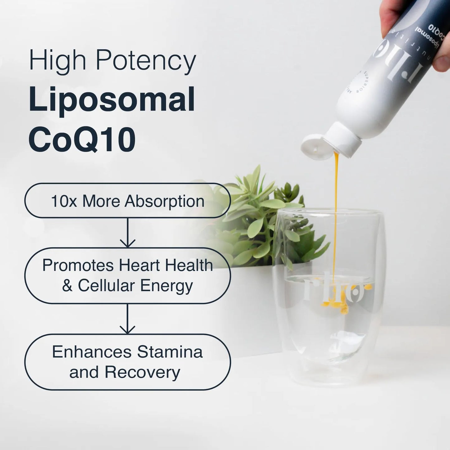 Coenzima Q10 Líquida Liposomal De Alta Absorción Para Energía Y Salud Cardiovascular