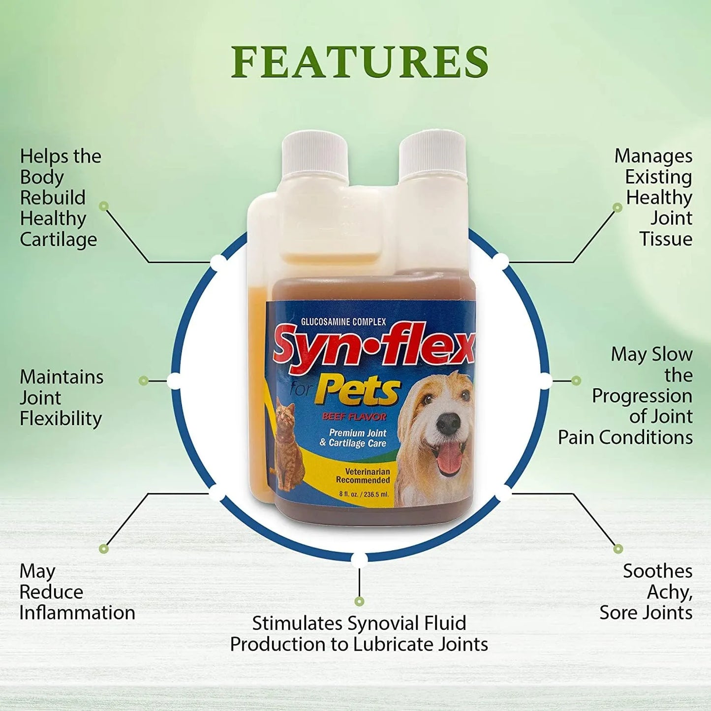 Complejo Líquido De Glucosamina Y Condroitina Para Perros Y Gatos Salud Articular Sabor Carne