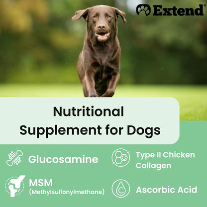 Suplemento Para Perros Glucosamina Con Msm Cuidado Articular Importado Eeuu