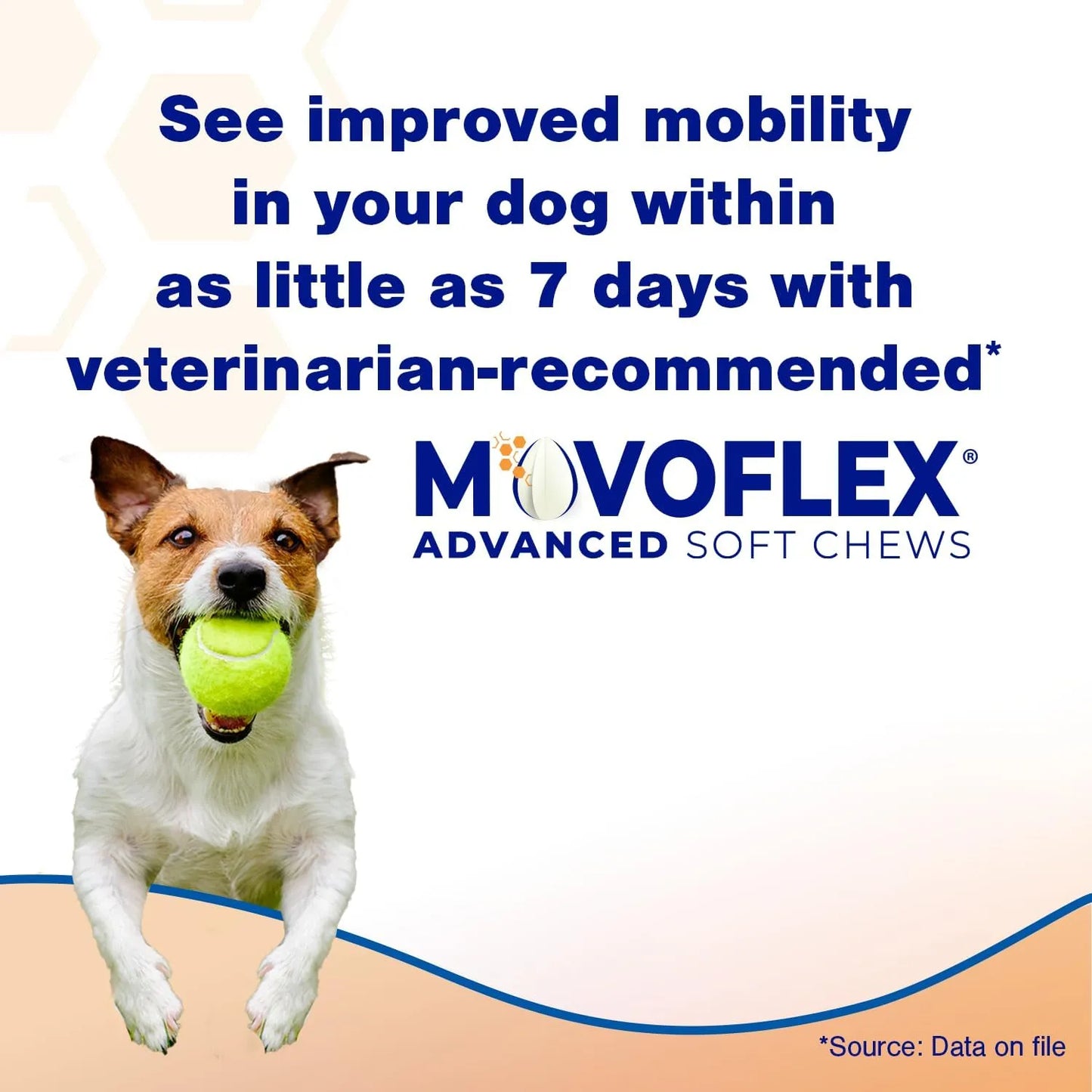 Movoflex Suplemento Articular Para Perros Grandes 60 Tabletas Sabor Pollo
