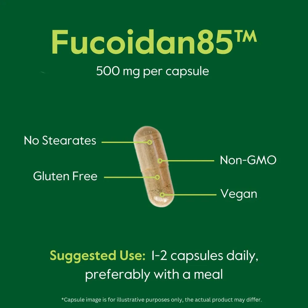 Extracto De Fucoidan 500 Mg 120 Cápsulas Estandarizado 85 Puro