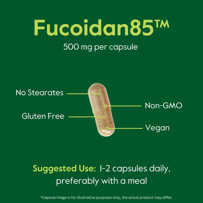 Extracto De Fucoidan 500 Mg 120 Cápsulas Estandarizado 85 Puro