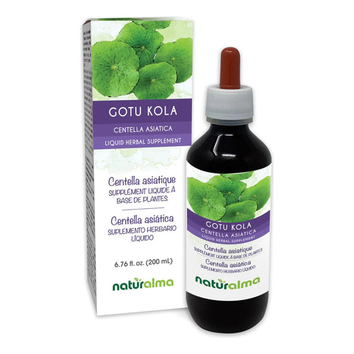 Extracto Liquido De Gotu Kola Centella Asiatica 200ml Suplemento Herbal Vegano