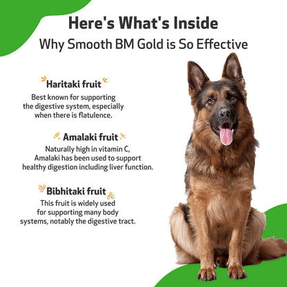 Smooth Bm Gold Para Perros Apoyo Digestivo Natural Triphala 2 Oz