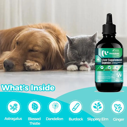 Suspensión Herbal Apoyo Hepático Para Gatos Y Perros 30 Ml Desintoxica Y Revitaliza