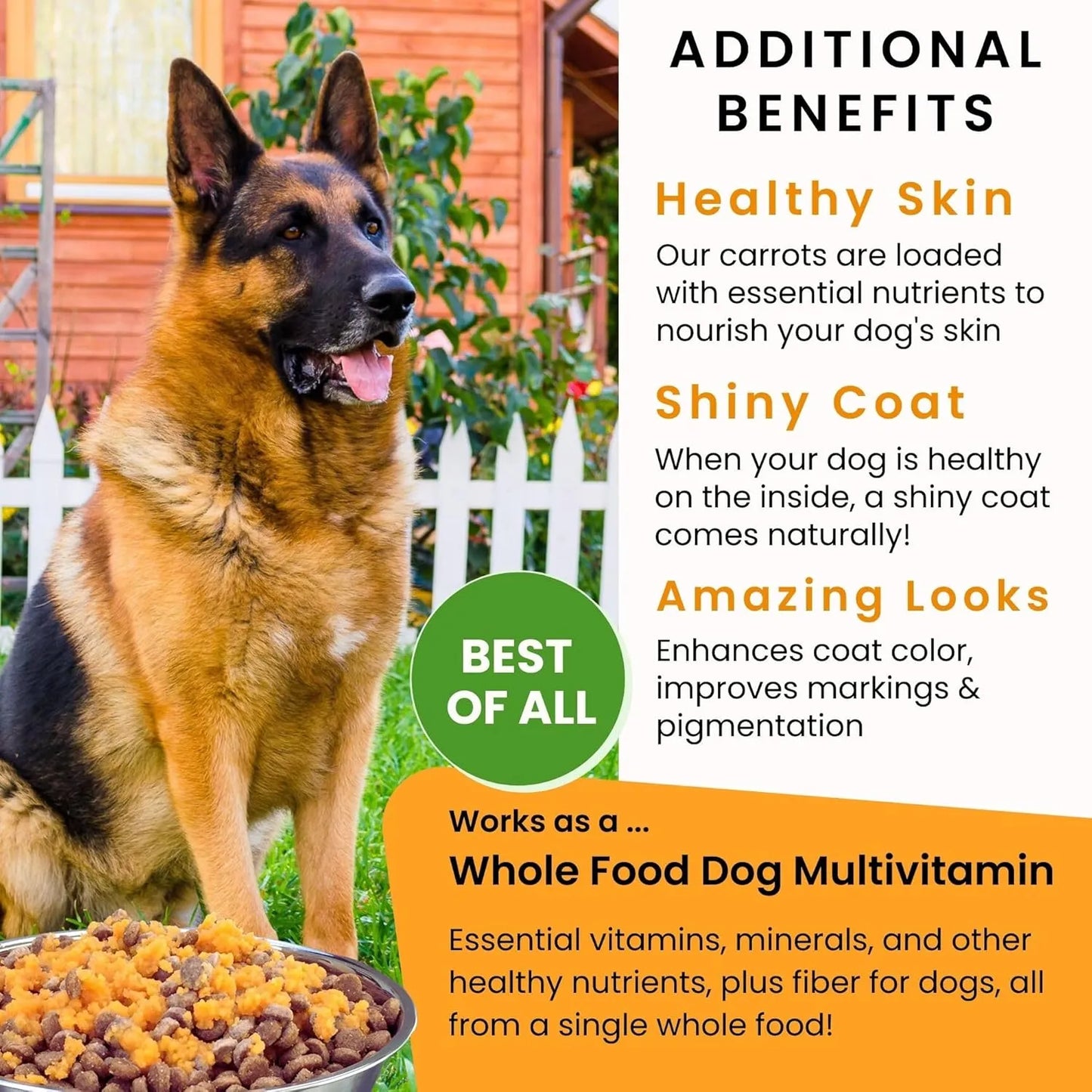 Olewo Zanahorias Deshidratadas 1 Kg Suplemento Digestivo Para Perros