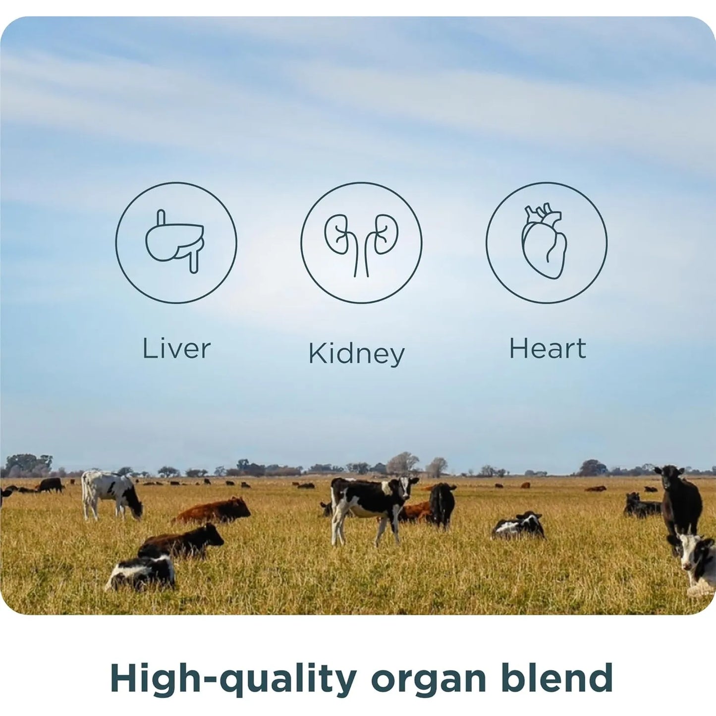 Capsulas De Complejo De Organos Naturales Hígado Corazón 180 Unidades Ancient Nutrition