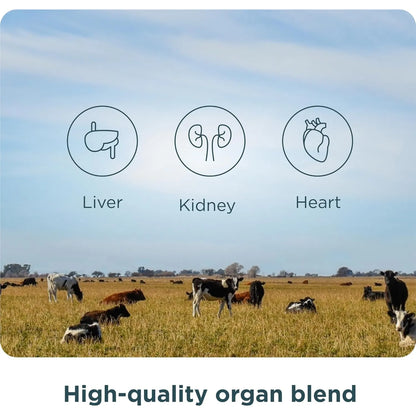 Capsulas De Complejo De Organos Naturales Hígado Corazón 180 Unidades Ancient Nutrition