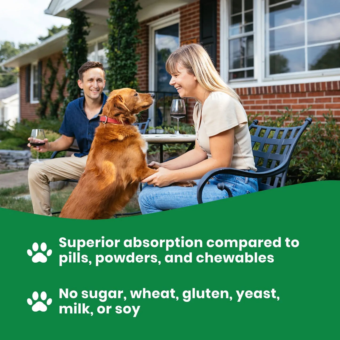 Glucosamina Vegetariana Para Perros Con Msm Alivia Dolor Articular Sin Mariscos