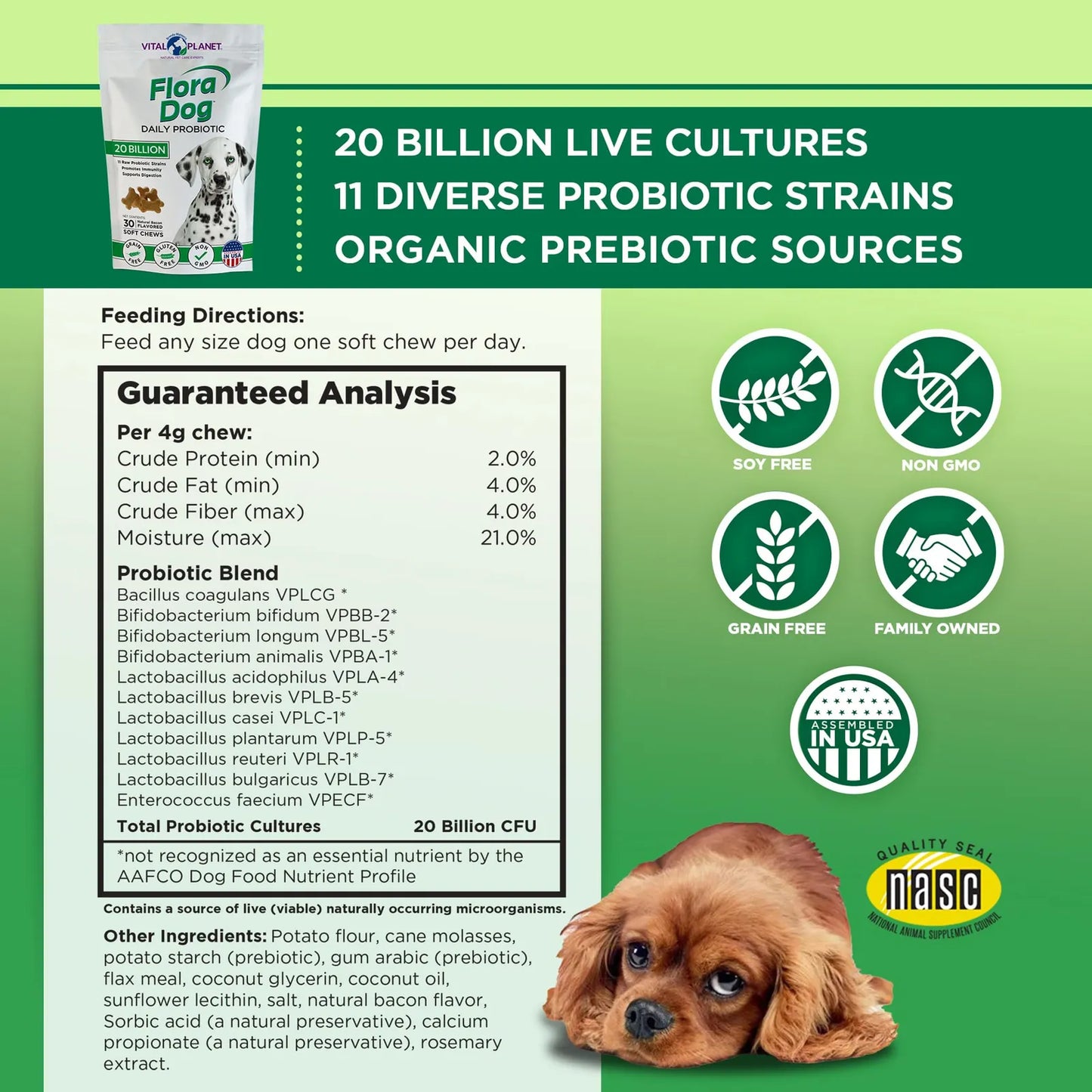 Probióticos Masticables Flora Dog Para Perros 20 Mil Millones Cultivos 11 Cepas