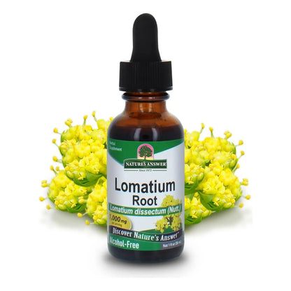 Extracto De Raiz Lomatium Dissectum 500 Mg Suplemento Herbario Natural Para Inmunidad Y Bienestar General