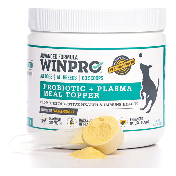 Polvo Probiótico Para Perros Con Plasma Seco - Salud Intestinal Y Defensas