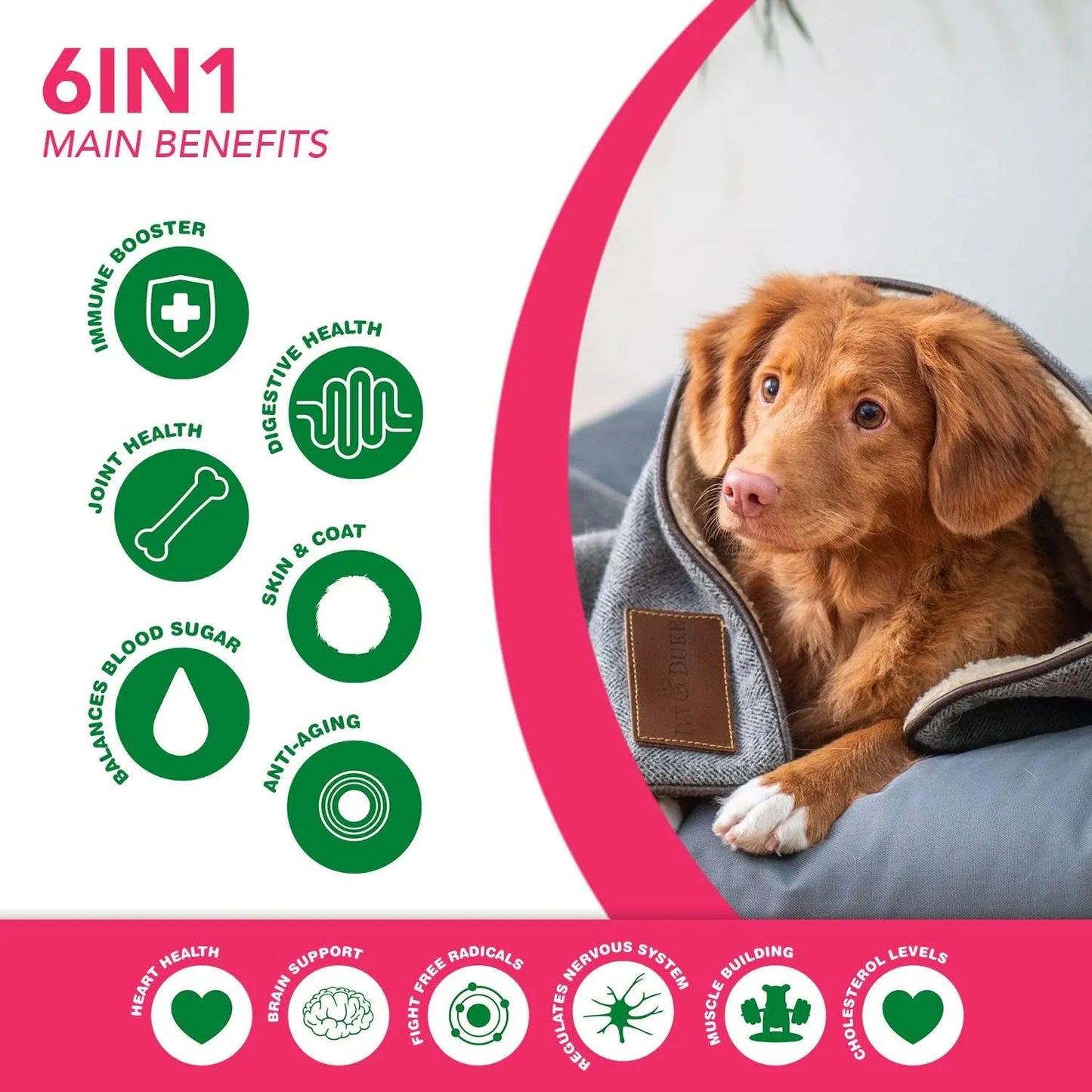 Golosinas Superalimento 6 En 1 Para Perros Con Moringa Orgánica Refuerzo Inmunológico Y Multivitamínico
