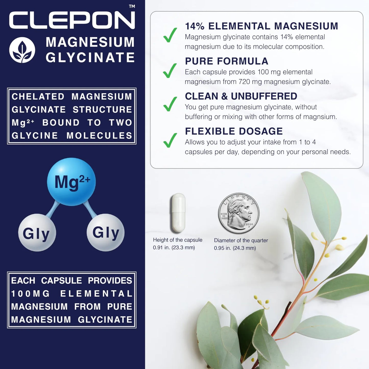 Glicinato De Magnesio Quelado Altamente Absorbente Suplemento Salud Corazón Huesos