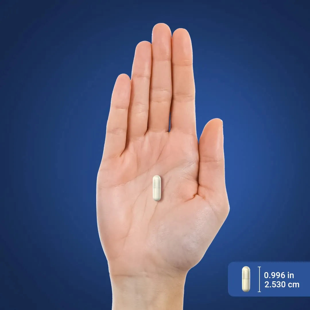 Citicolina 1000mg Cápsulas Liberación Rápida Suplemento Cognitivo Natural