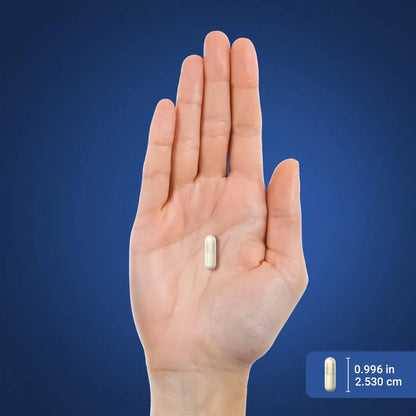 Citicolina 1000mg Cápsulas Liberación Rápida Suplemento Cognitivo Natural
