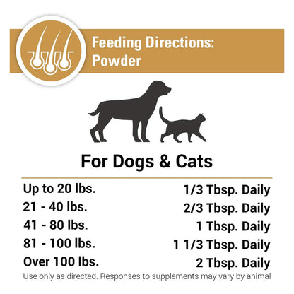 Suplemento Omega 3-6-9 Para Piel Y Pelaje De Gatos Importado Premium