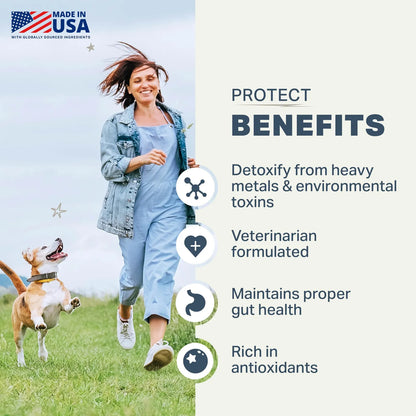 Probióticos Para Perros Con Prebióticos Antioxidantes Desintoxicación Salud Intestinal Four Leaf Rover Protect