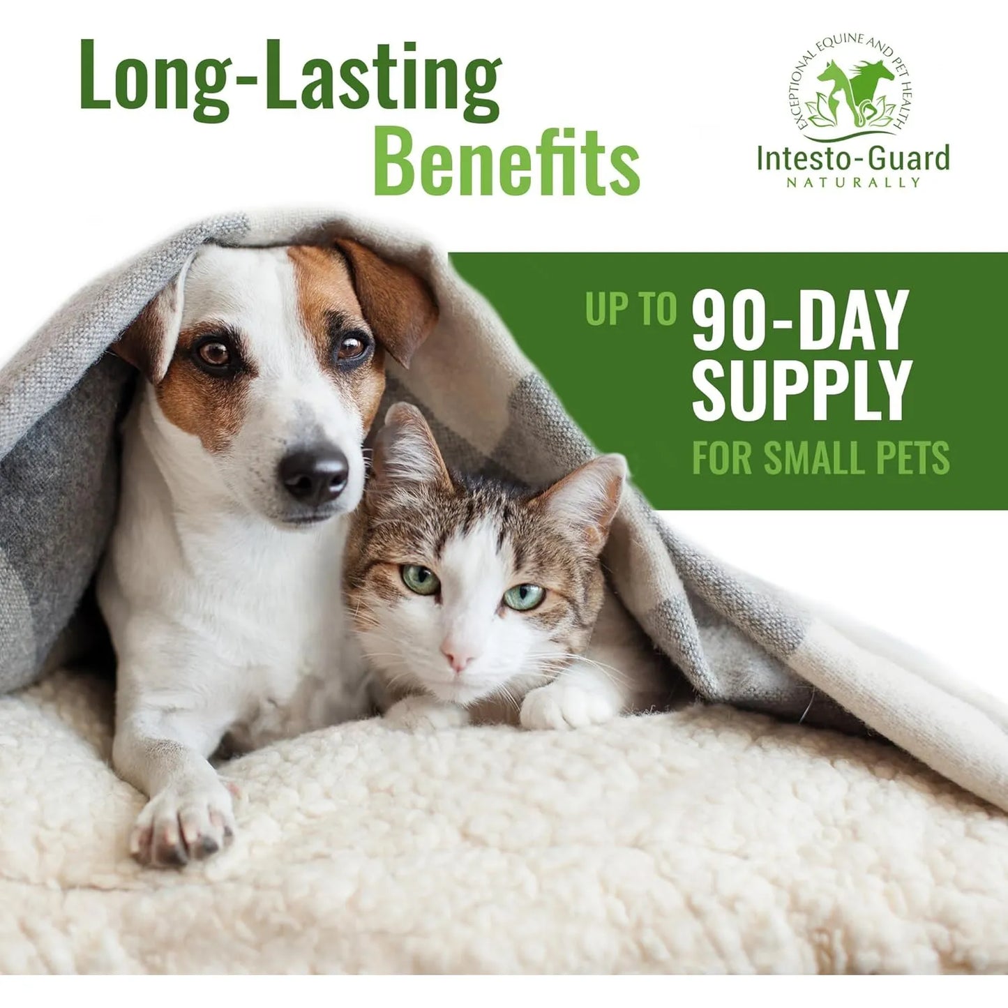Probiótico En Polvo Para Perros Y Gatos Intesto Guard Apoyo Inmunológico Y Digestivo