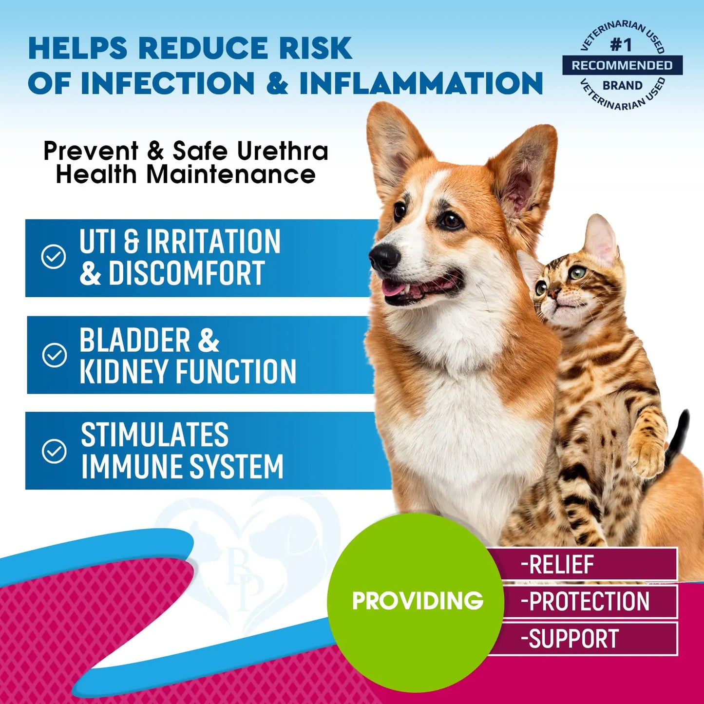 Tratamiento Natural Infecciones Urinarias Gatos Y Perros Arándano Y Soporte Renal