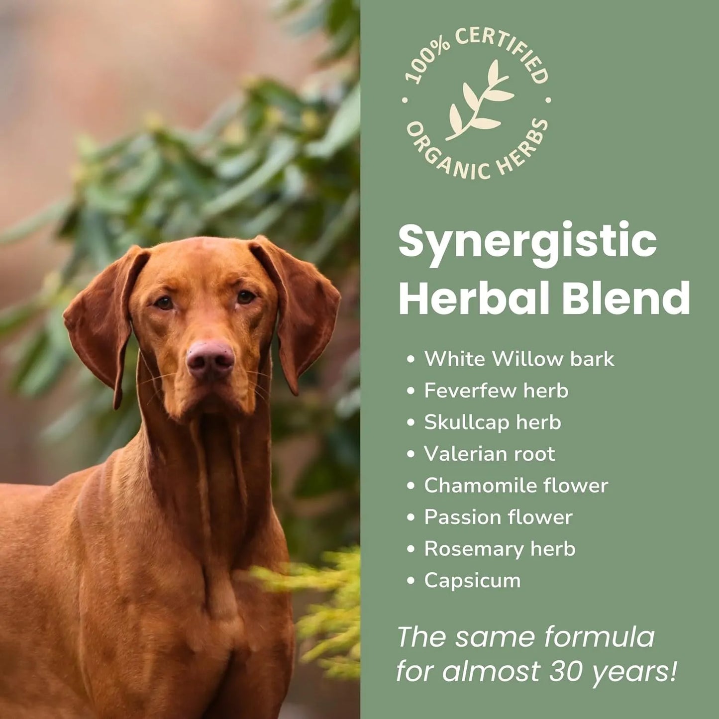 Alivio Natural Para Perros Mezcla Hierbas Organicas Artritis Dolores Articulares