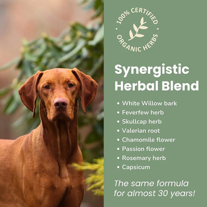 Alivio Natural Para Perros Mezcla Hierbas Organicas Artritis Dolores Articulares