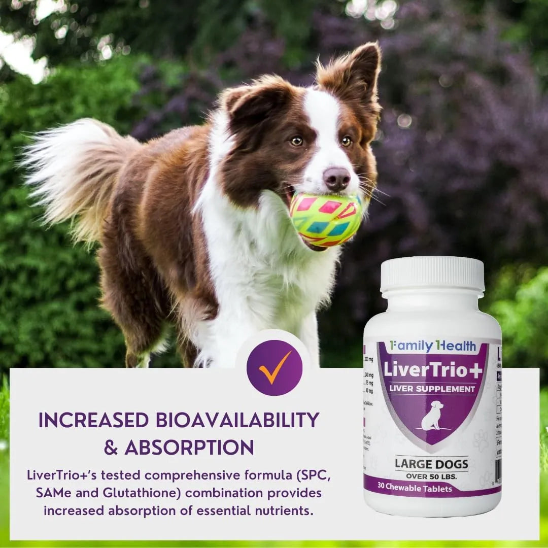 Tabletas Masticables Apoyo Hepático Perros Pequeños Medianos LiverTrio Plus