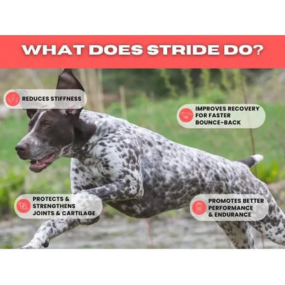 Stride By Helluva Dog Cubrecomida Articular Para Perros Mejillon Y Curcuma 4 Onzas