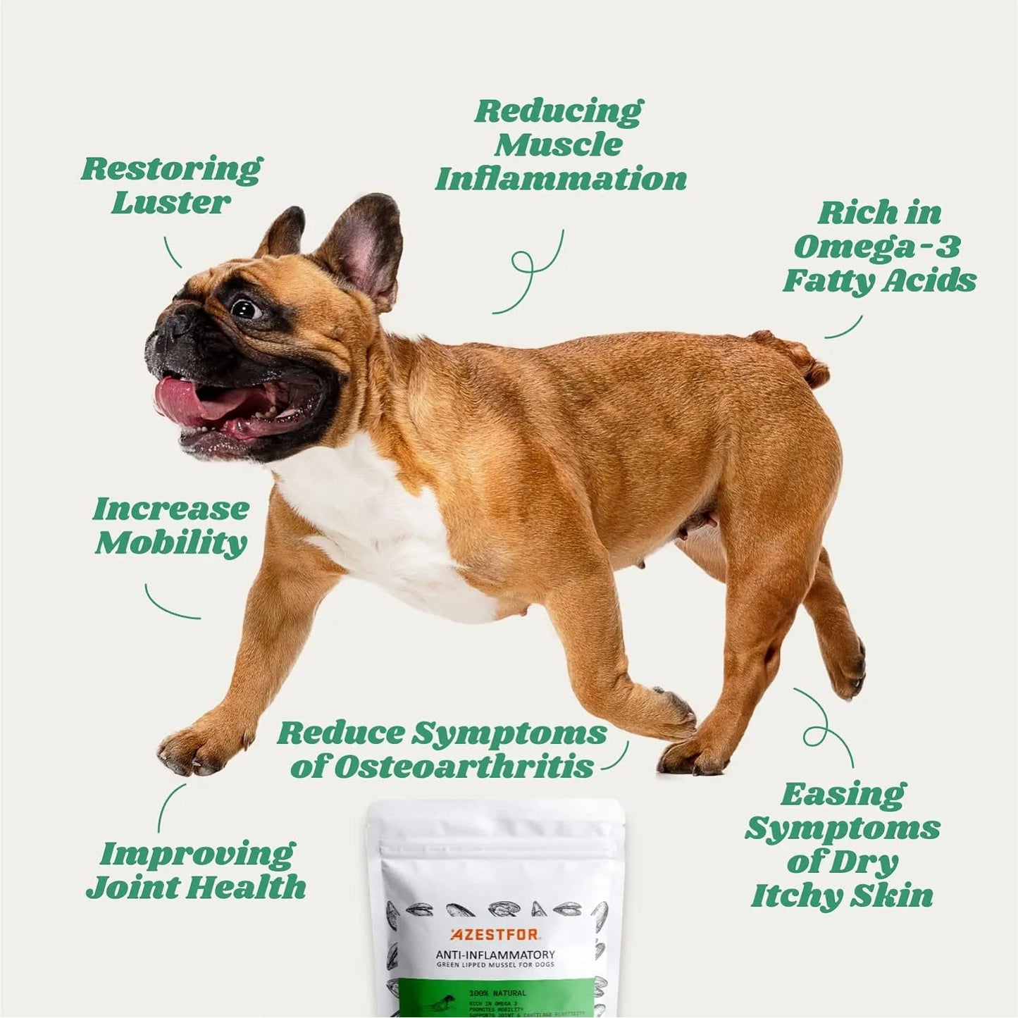 Mejillon De Labios Verdes Antiinflamatorio En Polvo Para Perros Alivia Dolor Articular